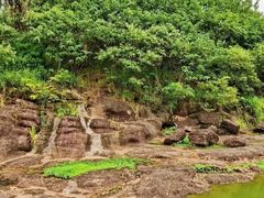 -广州七星岗古海岸遗址科学公园