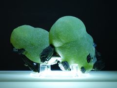 -湖南省地质博物馆