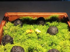 -小运河·公馆(国贸店)
