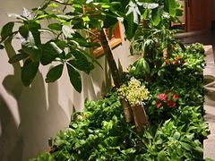 -合和大唐(江夏纸坊店)