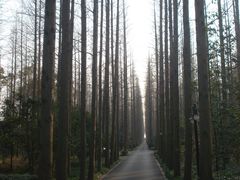 怡沁东路-上海怡沁园度假酒店