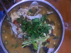-全乐鱼馆·淳牌有机鱼直营店