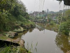 -张坝桂圆林公园