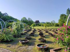 -杭州植物园