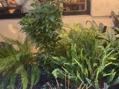 -贰醒·私房小院烧烤 (太古里店)