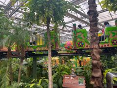 -南宫五洲植物乐园