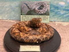 -下渚湖国家湿地公园科普馆