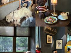 -咖法森林·咖啡  酒吧(天河店)