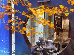 -四世同堂·京菜·烤鸭(双井店)