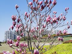 -白塘生态植物园