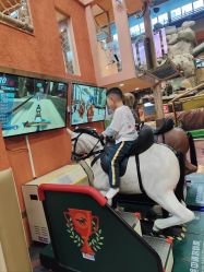 -卡通尼·Safari非洲探索乐园·生日会(金桥国际商业广场店)