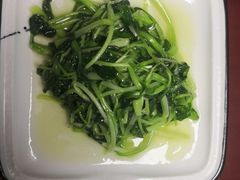 清炒鸡毛菜-19号私房菜(云南路店)