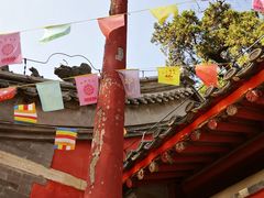 -北京上方山国家森林公园