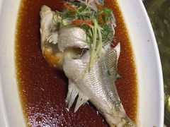 清蒸鲈鱼-京食源烧鸽子