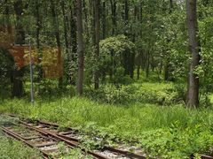 -合肥滨湖国家森林公园