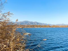 -野鸭湖国家湿地公园