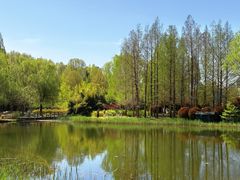 -郑州植物园