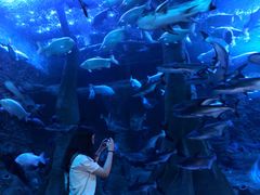 -成都浩海立方海洋公园