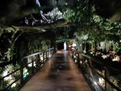 -花之城