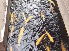 iphone_upload_pic-北京水岸山吧度假村(雁栖镇店)