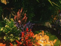 -金滏山烤肉·海鲜·火锅自助餐厅(襄阳万达店)