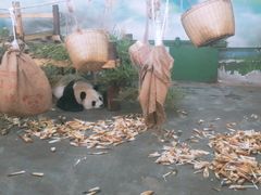 -无锡动物园·太湖欢乐园