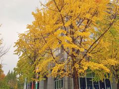 -江宁织造博物馆