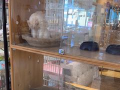 -藏猫猫咖啡主题馆(中央大道店)