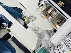 -萌兽医馆·眼科·异宠专科(三里屯店)