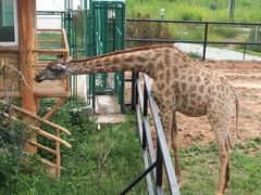 -鄂尔多斯野生动物园