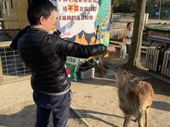 -前小桔亲子创意农场·草莓采摘·露营烧烤