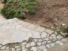 -黔灵山公园-南门售票处