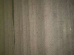 -白鹭原茶艺馆
