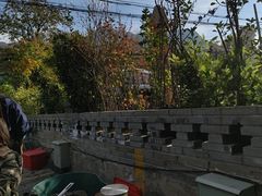 -都江堰石锅鱼