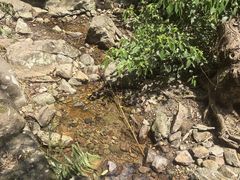 -会稽山峡洞漂流-上青古道