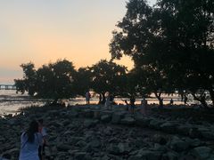 -宝安西湾红树林湿地公园