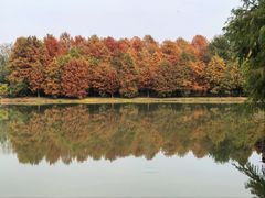 -上海海湾国家森林公园