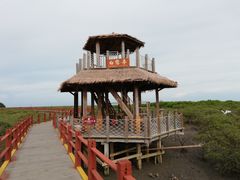 -北海金海湾红树林生态旅游区