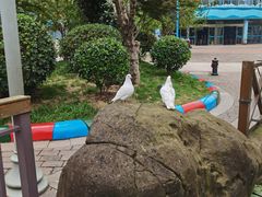 -海合安武汉极地海洋公园