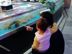 -七天萌宝·玛利娅蒙特梭利国际儿童之家(夏驾汇校区)