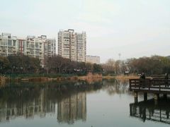 -新江湾城公园