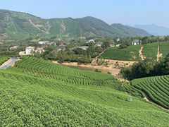 -朴小妹人参鸡汤火锅(长白山万达店)