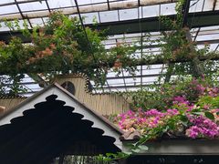 -呀路古热带植物园