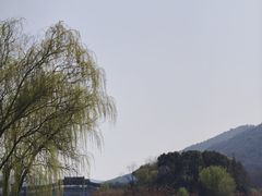 -长广溪湿地公园