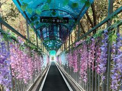 -浏阳石牛寨风景区