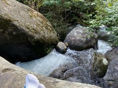 -大围山国家森林公园