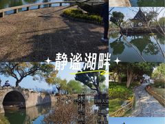 -无锡蠡湖国家湿地公园-蠡园