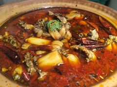 鲜嫩牛蛙砂锅-马头巷·食景园(苏州总店)