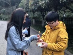 -重庆彩云湖湿地公园
