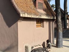 -安吉竹博园